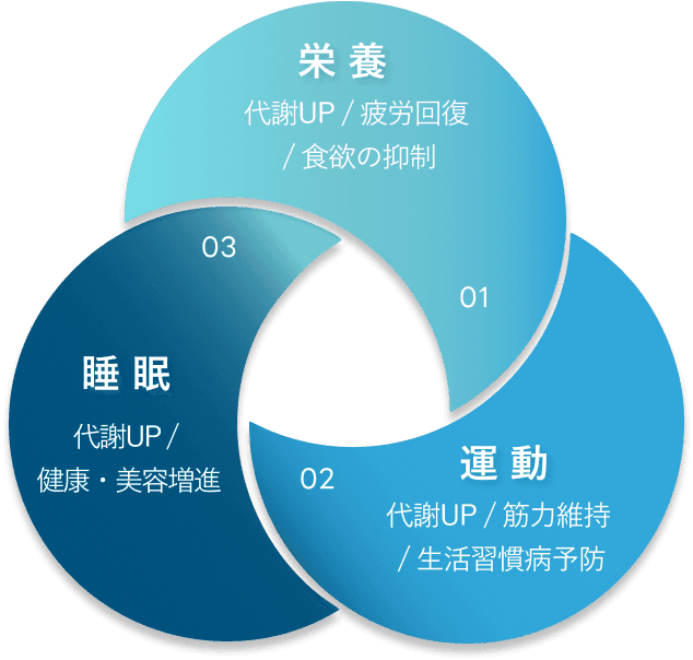 栄養(代謝UP / 疲労回復 / 食欲の抑制) 運動(代謝UP / 筋力維持 / 生活習慣病予防) 睡眠(代謝UP / 健康・美容増進)