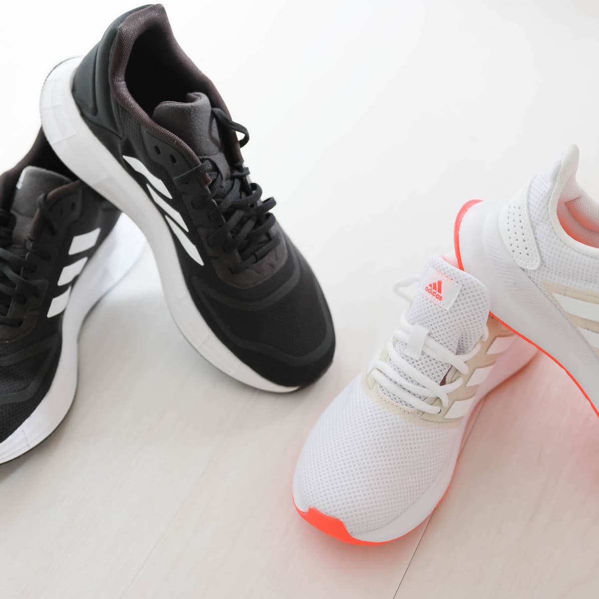 Point3 充実した無料レンタルオプション