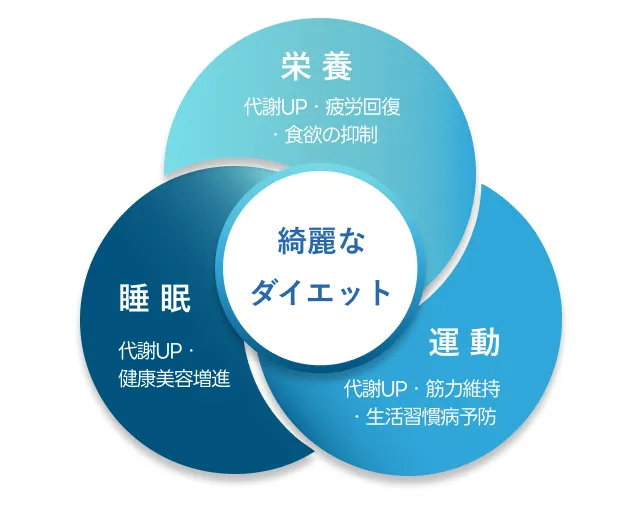 「綺麗なダイエット」を提供するプログラム