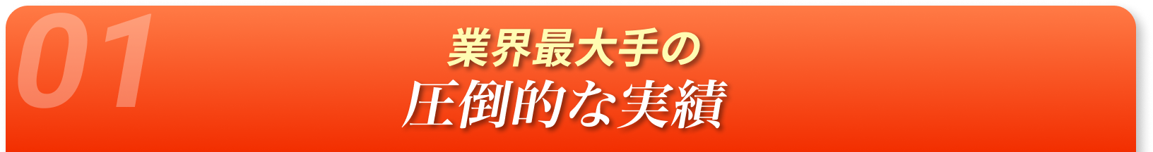 業界最大手の圧倒的な実績